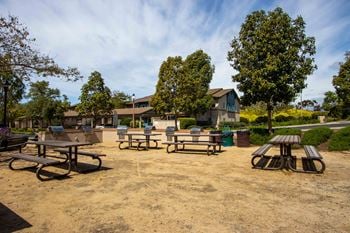 Bbq/picnic area